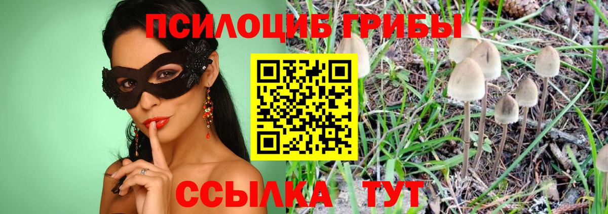 Иваново  Галлюциногенные грибы Psilocybine cubensis  Вход с VPN 